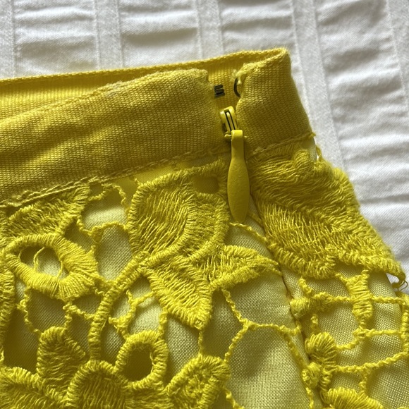 Madewell Lace mini skirt, 6 - Picture 5 of 11